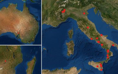 Photovoltaic power forecasting with ensemble of learners: large test case from PV plants in Italy, Zambia and Australia